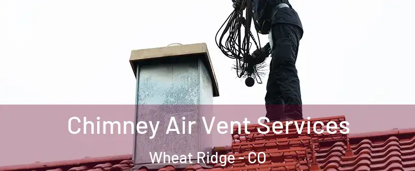  Chimney Air Vent Services Wheat Ridge - CO