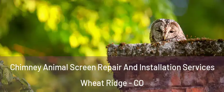  Chimney Animal Screen Repair And Installation Services Wheat Ridge - CO