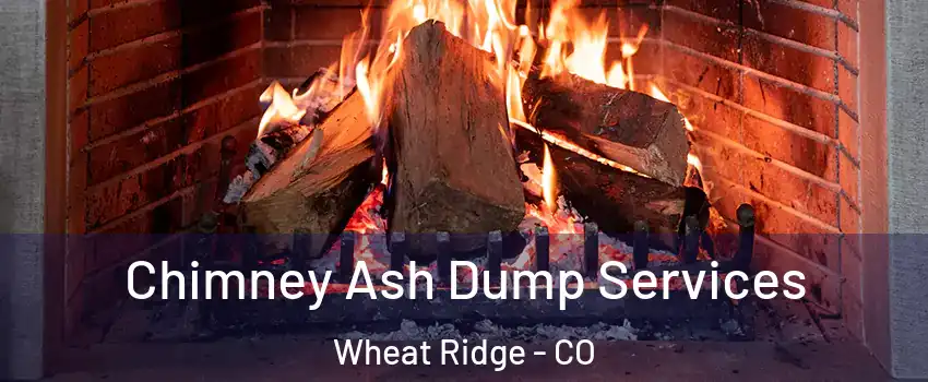  Chimney Ash Dump Services Wheat Ridge - CO