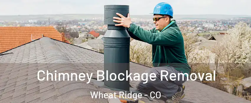 Chimney Blockage Removal Wheat Ridge - CO