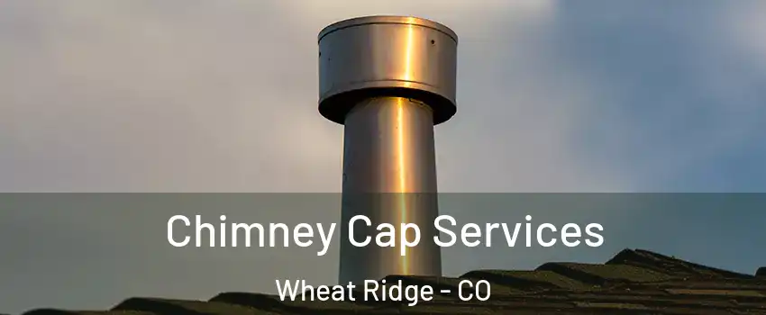  Chimney Cap Services Wheat Ridge - CO