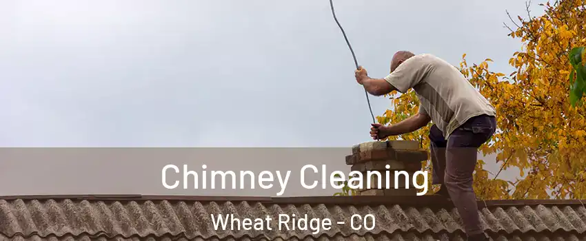  Chimney Cleaning Wheat Ridge - CO