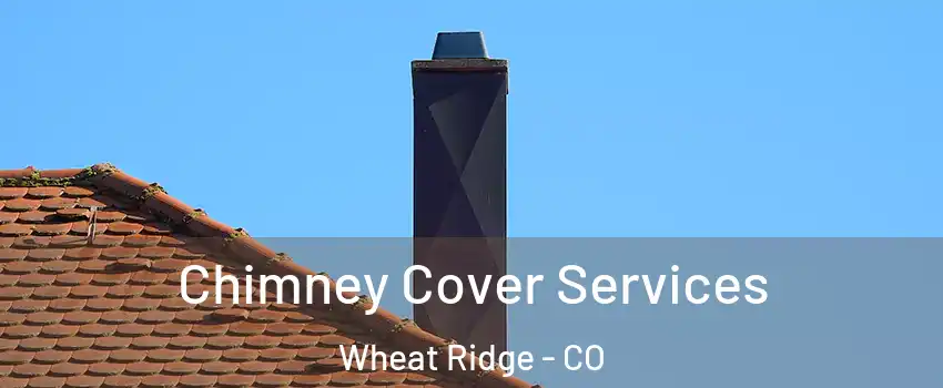  Chimney Cover Services Wheat Ridge - CO