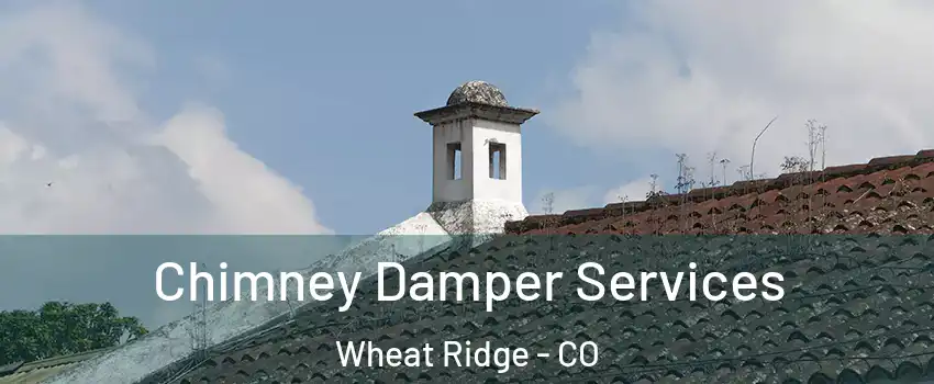  Chimney Damper Services Wheat Ridge - CO
