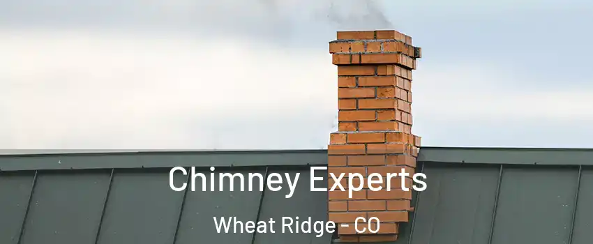  Chimney Experts Wheat Ridge - CO