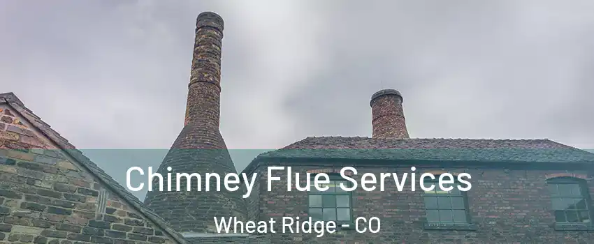 Chimney Flue Services Wheat Ridge - CO