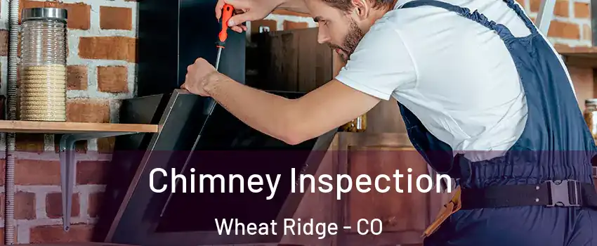  Chimney Inspection Wheat Ridge - CO
