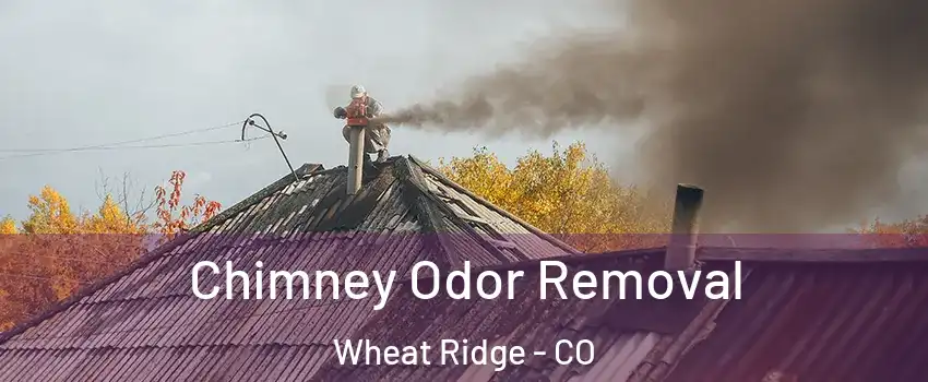  Chimney Odor Removal Wheat Ridge - CO