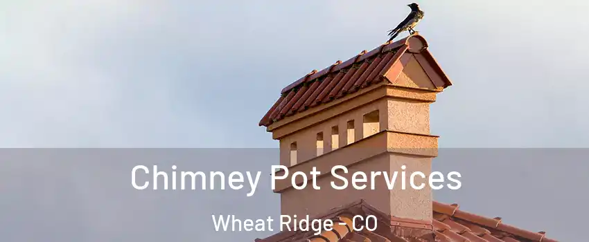  Chimney Pot Services Wheat Ridge - CO