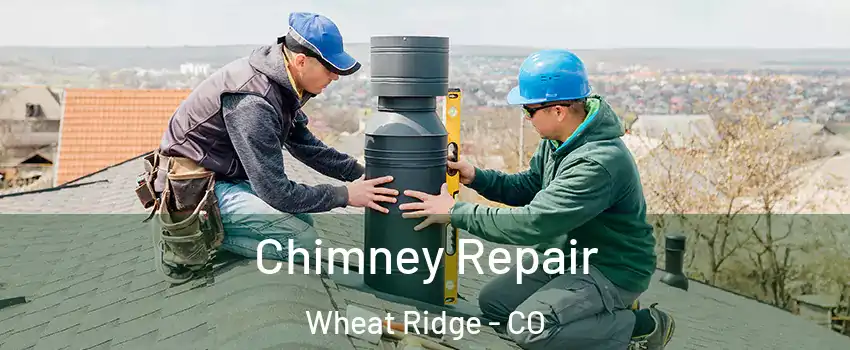  Chimney Repair Wheat Ridge - CO