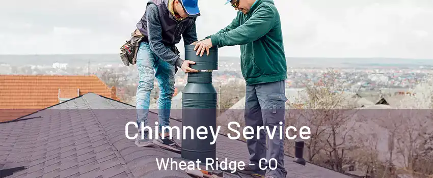  Chimney Service Wheat Ridge - CO