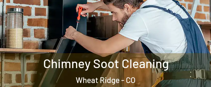 Chimney Soot Cleaning Wheat Ridge - CO