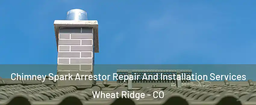  Chimney Spark Arrestor Repair And Installation Services Wheat Ridge - CO