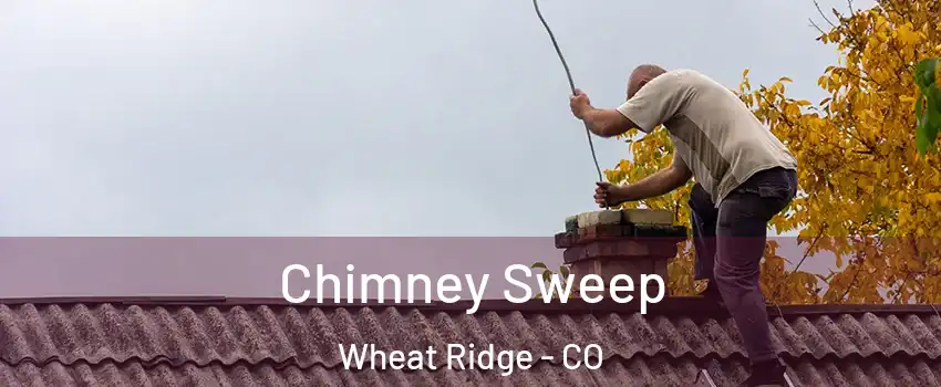  Chimney Sweep Wheat Ridge - CO