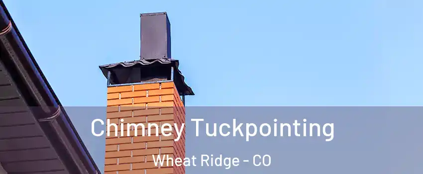  Chimney Tuckpointing Wheat Ridge - CO