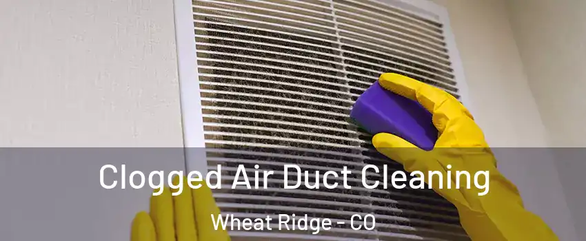  Clogged Air Duct Cleaning Wheat Ridge - CO