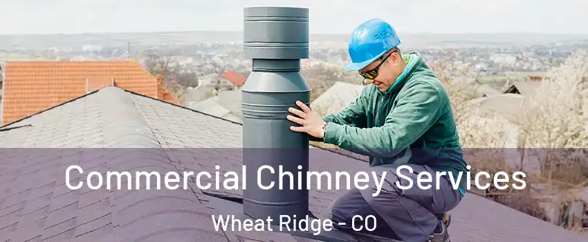  Commercial Chimney Services Wheat Ridge - CO