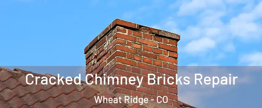  Cracked Chimney Bricks Repair Wheat Ridge - CO