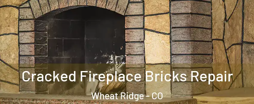 Cracked Fireplace Bricks Repair Wheat Ridge - CO