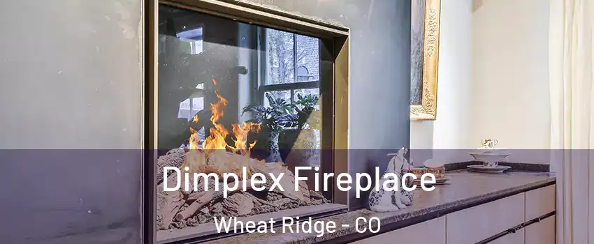  Dimplex Fireplace Wheat Ridge - CO