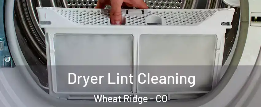  Dryer Lint Cleaning Wheat Ridge - CO