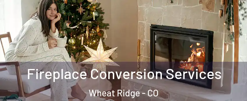  Fireplace Conversion Services Wheat Ridge - CO