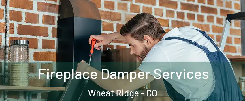  Fireplace Damper Services Wheat Ridge - CO