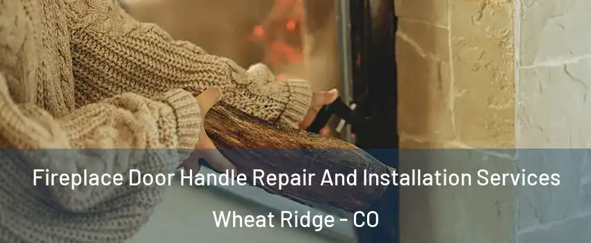  Fireplace Door Handle Repair And Installation Services Wheat Ridge - CO