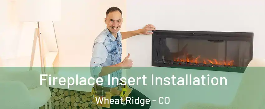  Fireplace Insert Installation Wheat Ridge - CO