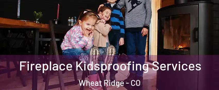  Fireplace Kidsproofing Services Wheat Ridge - CO