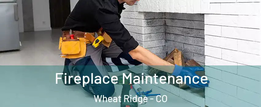  Fireplace Maintenance Wheat Ridge - CO