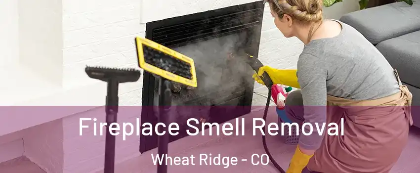  Fireplace Smell Removal Wheat Ridge - CO