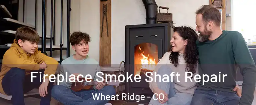  Fireplace Smoke Shaft Repair Wheat Ridge - CO