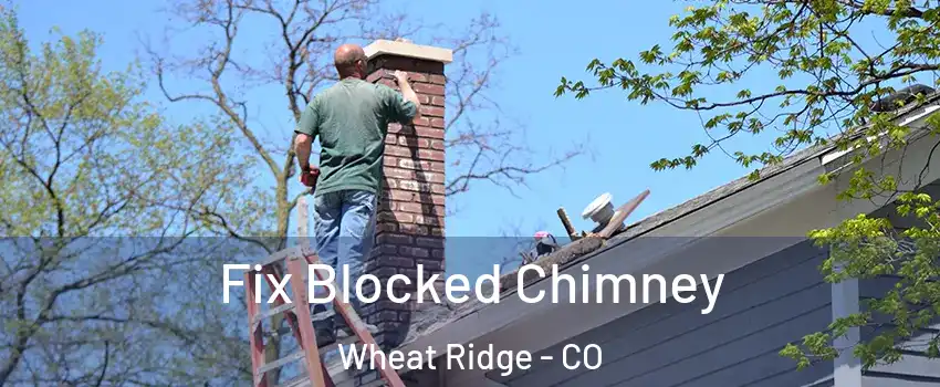  Fix Blocked Chimney Wheat Ridge - CO