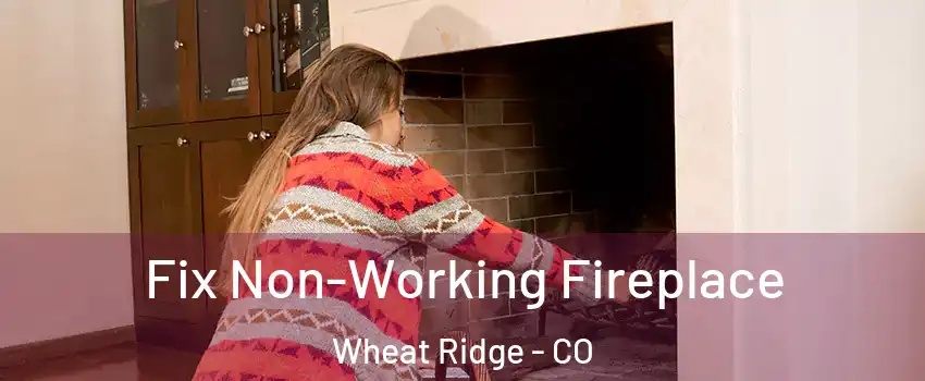  Fix Non-Working Fireplace Wheat Ridge - CO