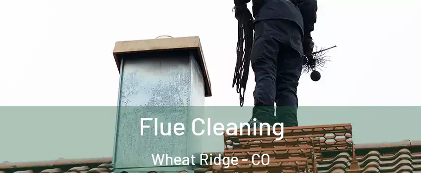  Flue Cleaning Wheat Ridge - CO