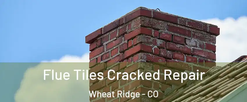  Flue Tiles Cracked Repair Wheat Ridge - CO