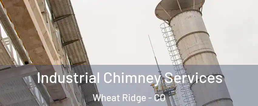  Industrial Chimney Services Wheat Ridge - CO