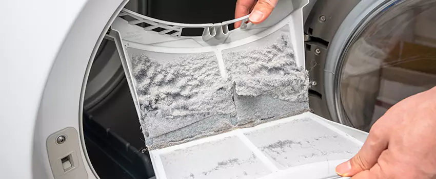 Best Dryer Lint Removal Company in Wheat Ridge, Colorado