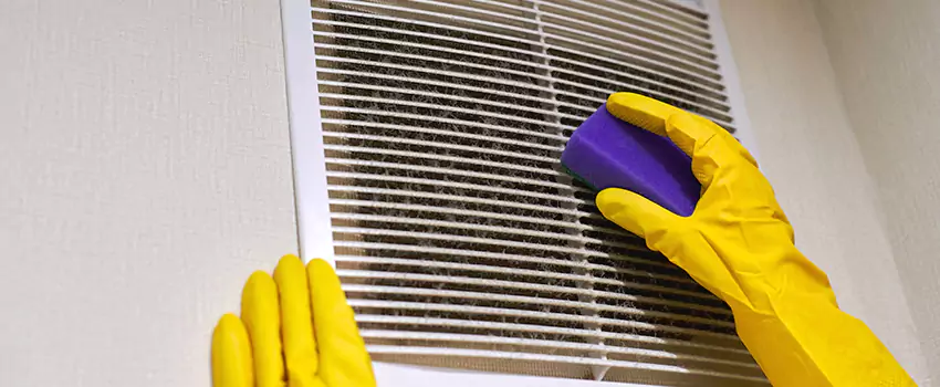 Vent Cleaning Company in Wheat Ridge, CO
