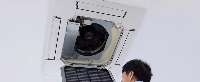 Benefits of Professional Air Duct Cleaning in Wheat Ridge, Colorado