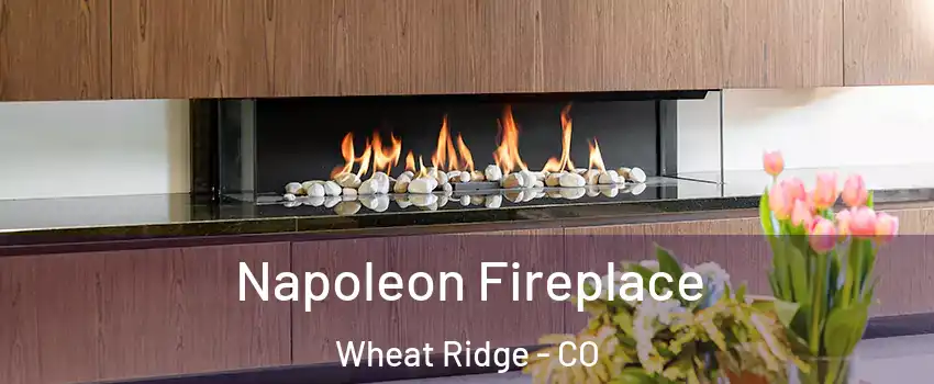  Napoleon Fireplace Wheat Ridge - CO