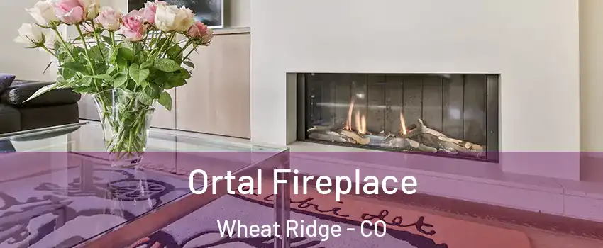  Ortal Fireplace Wheat Ridge - CO