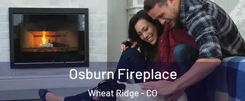  Osburn Fireplace Wheat Ridge - CO