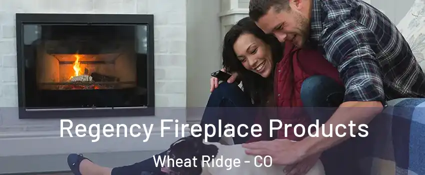  Regency Fireplace Products Wheat Ridge - CO